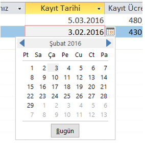 Tarih Seçiciyi Göster