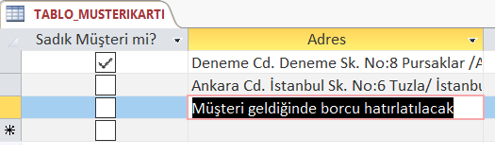 Tablo Yanlızca Ekle Sonucu