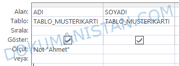 Not Operatörü Ölçüt