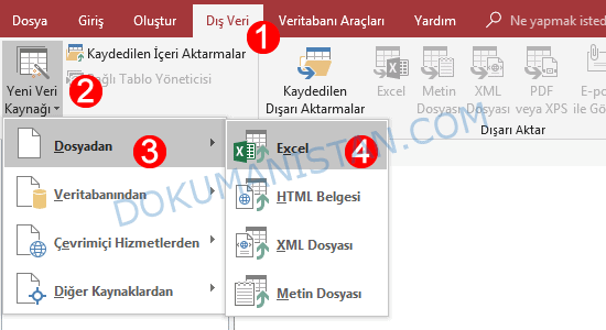 Access Dış Veri Al