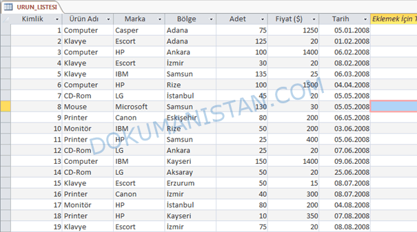 Access Tablo Verisi