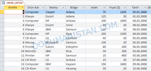 Access İçer Aktarılan Tablosu