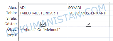Or Operatorü Sorgu
