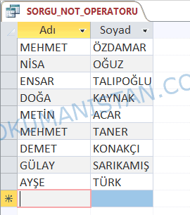 Sorgu Not Operatörü Sonucu