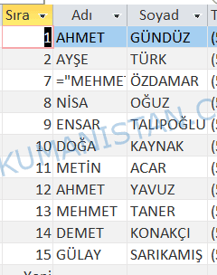 Sorgu Not Operatörü