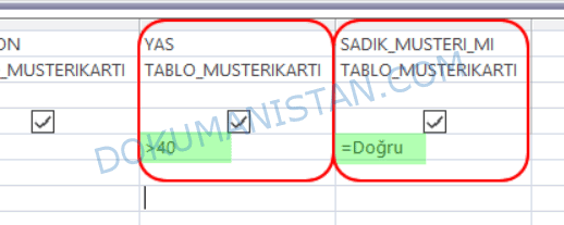 Sorgu Üçüncü Kriter