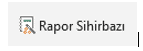 Rapor Sihirbazı Butonu