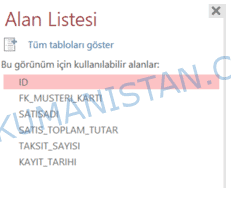 Alan Listesi Menüsü