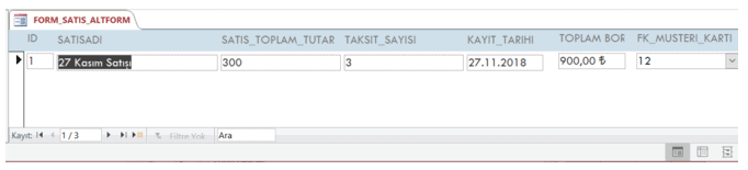 Alt Form Veri Görünümü