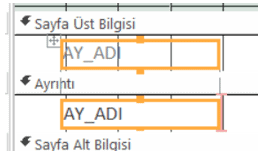 Ay Adı Metin Kutusu Hizalama