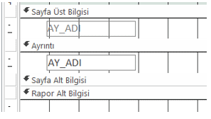 Ay Adı Rapor Üst Bilgi