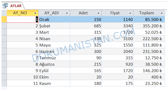 Ay Bazlı Rapor Ön İzlemesi