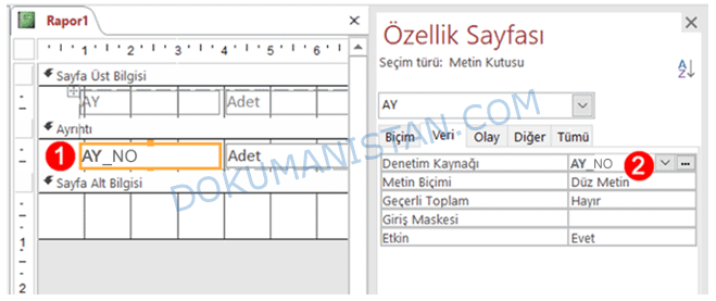 Ay Sayısı Metne Çevirme