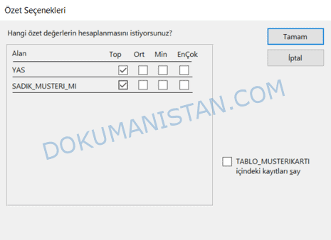 Basit Sorgu Özet Seçenekleri