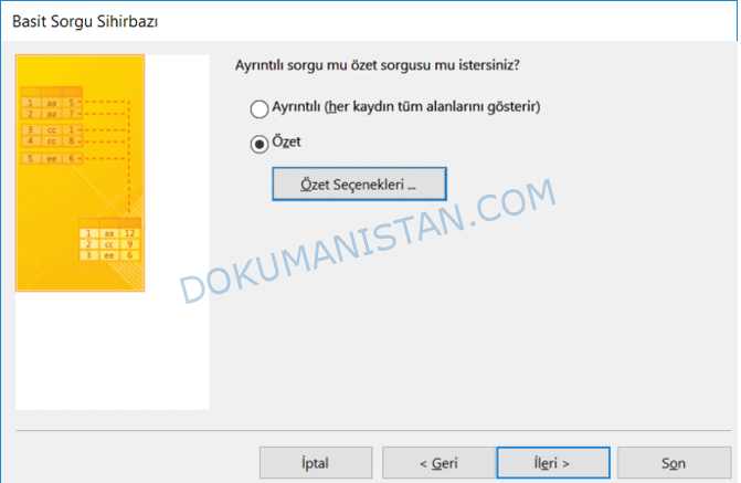 Basit Sorgu Sihirbazı Özet