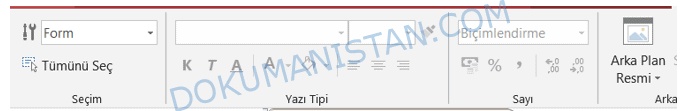Biçim Sekmesi