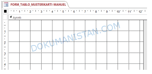 Boş Form Görünümü