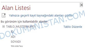Form Alan Listesi