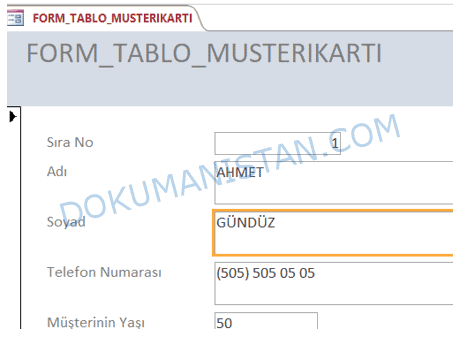 Form Düzen Görünümü