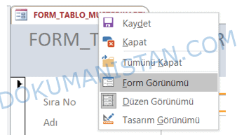 Form Görünümünü Değiştirme
