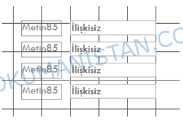 Form Metin Kutusu Ekleme