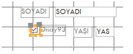 Form Onay Kutusu Ekleme