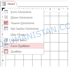 Form Özellikleri