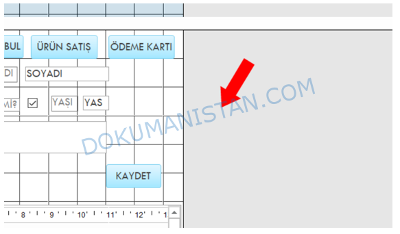 Form Özellikleri Detay Alanına Geçme