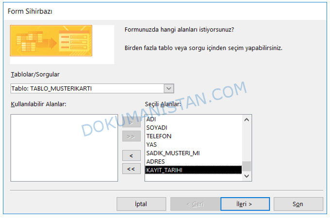 Form Sihirbazı Tablo Alanları