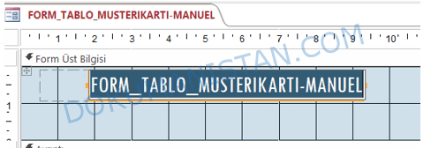 Form Üst Bilgi Görünümü