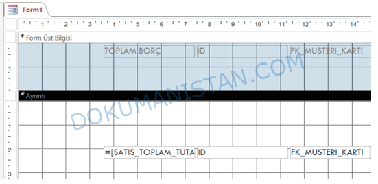 Form Üst Bilgisi