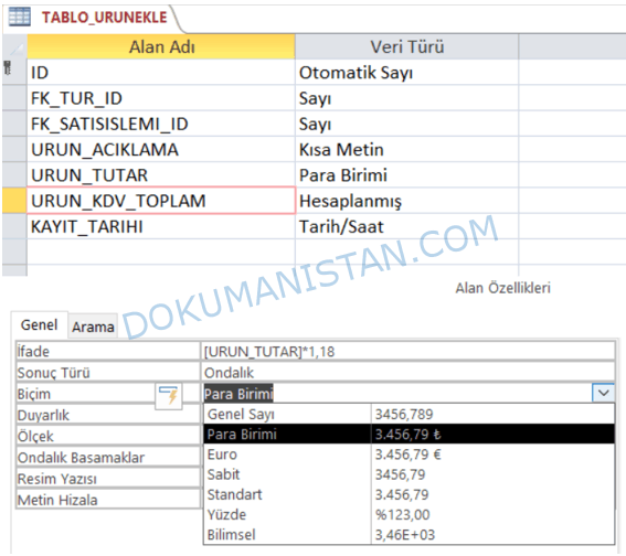 Hesaplanmış Alan Veri Türü Değişimi