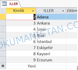 İller Listesi