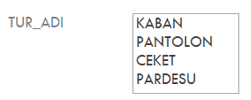 Liste Kutusu Görünüm