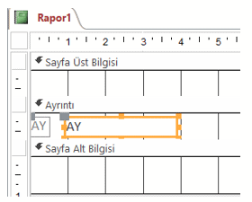 Metinsel Ay Bazlı Ayrıntı Metin Kutusu