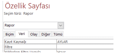 Özellik Sayfası