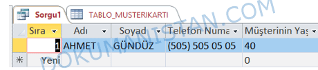 Ölçütteki Sorgu Sonucu