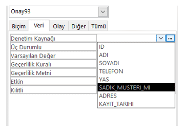 Onay Kutusu Denetim Kaynağı Belirleme