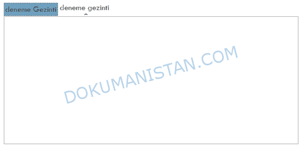 Örnek Gezinti Denetimi