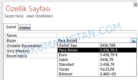 Özellik Sayfası Biçim - Para Birimi