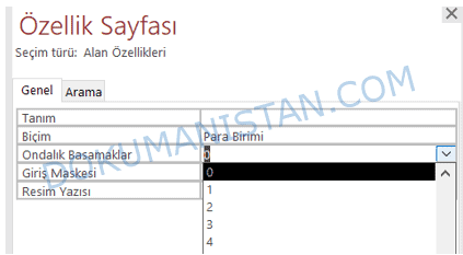 Özellik Sayfası Ondalık Basamaklar