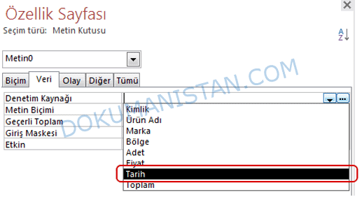 Özellik Sayfası Tarih Alanında Denetim Kaynağı 
