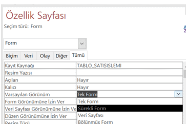 Özellik Sayfası - Vaysayılan Görünüm - Sürekli Form