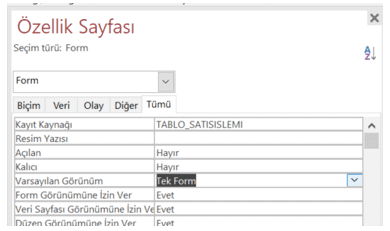 Özellik Sayfası - Varsayılan Görünüm - Tek Form