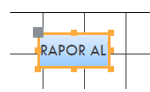 Rapor Al Butonu