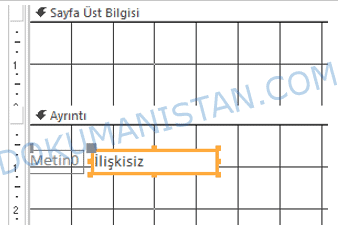 Rapor Ayrıntı Kısmı Metin Kutusu