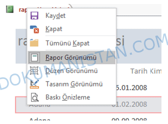 Rapor Görünümü Geçmek