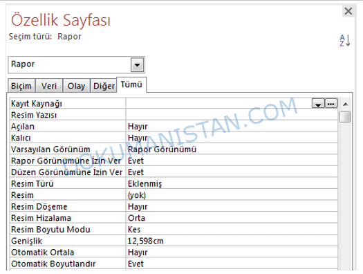 Rapor Özellik Sayfası