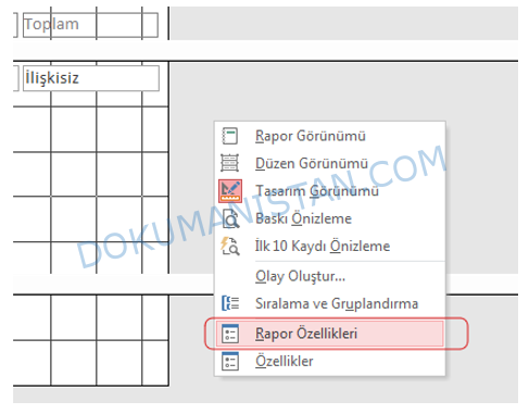 Rapor - Rapor Özellikleri Geçişi