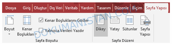 Rapor Sayfa Yapısı Sekmesi